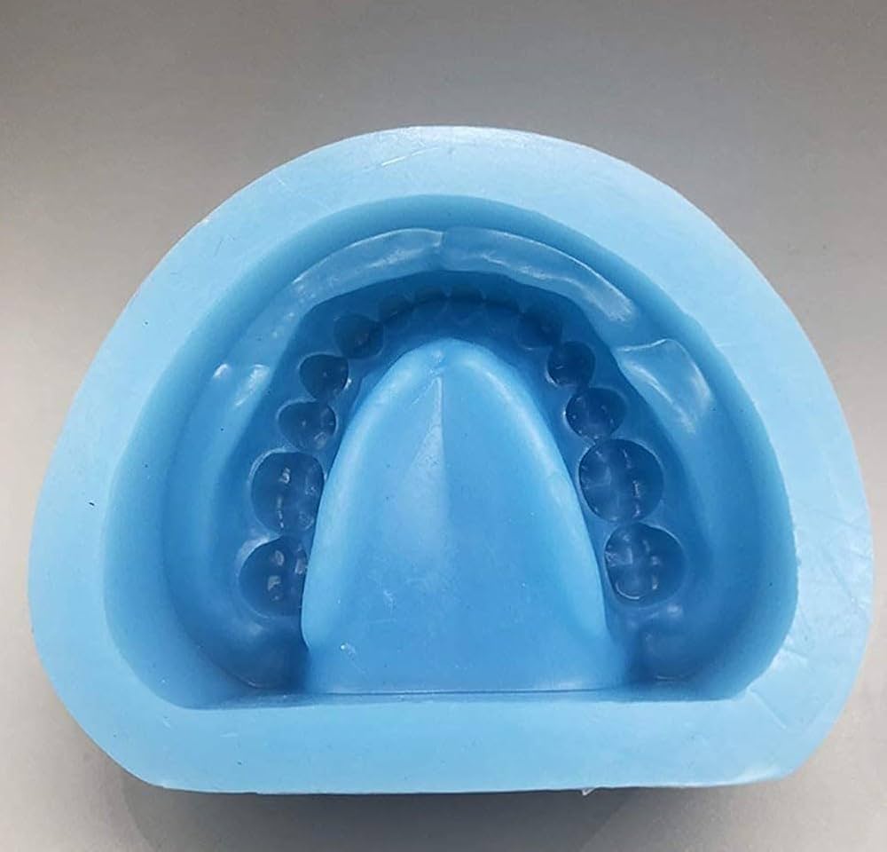 Amazon.com: TZZES 2pc/Set Dental Plaster Model Mold Mould of